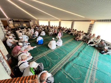 финиковый сад