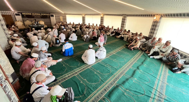 финиковый сад